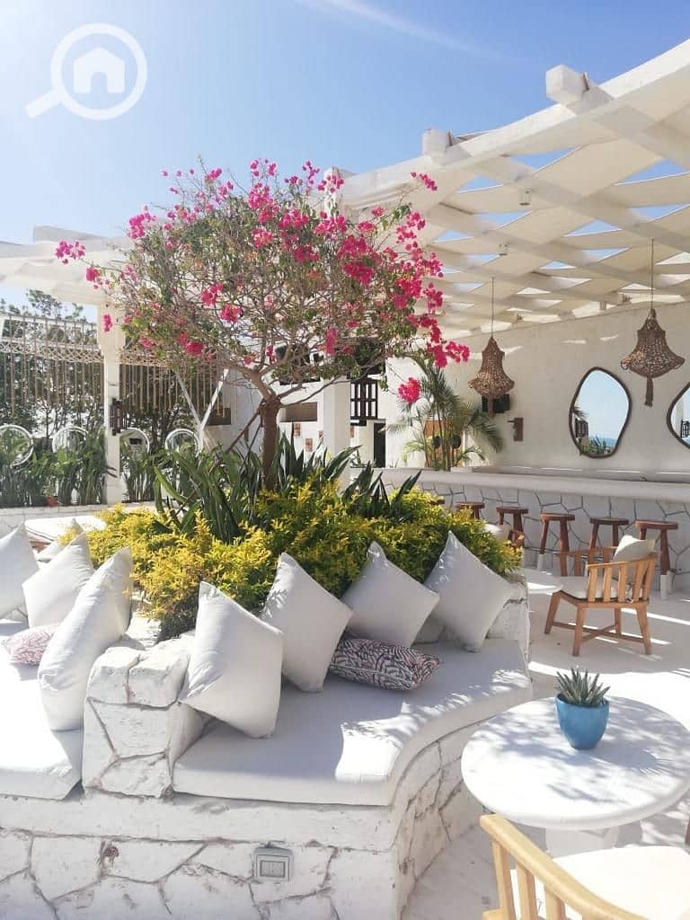 4 WhatsApp Image 2025-05-22 at 1.51. 49 PM (2). jpeg