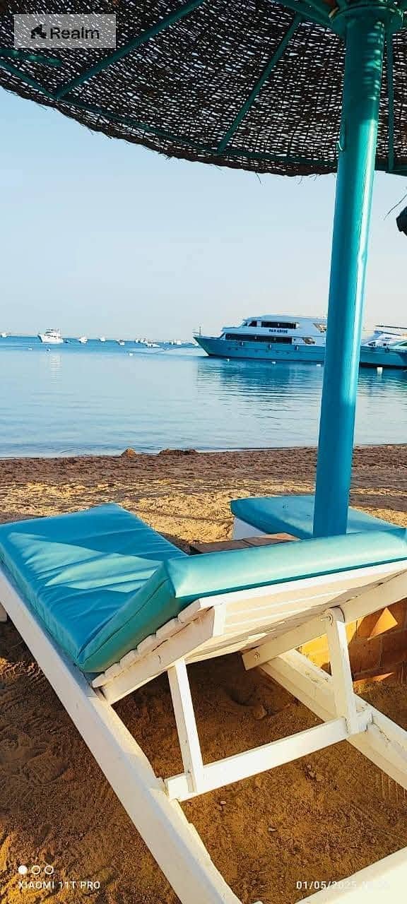 4 505742619_4082452685365402_8143590084554054916_n. jpg