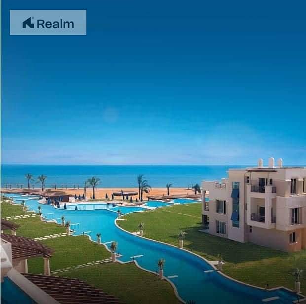 8 9185d102-58af-4be0-a657-a0aadc4e8061. jpg