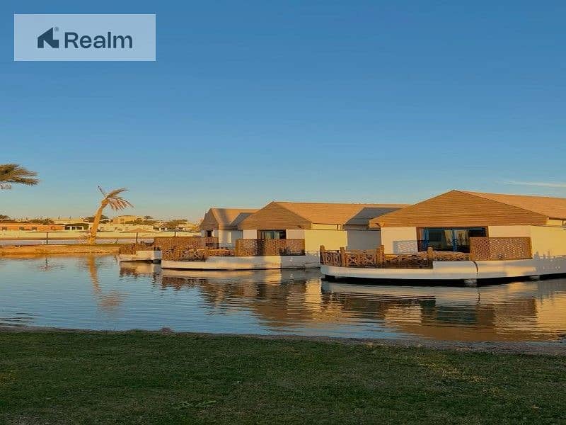 8 c7b01f3b-8c4d-47d7-9e43-3787e1f15e0a. jpg