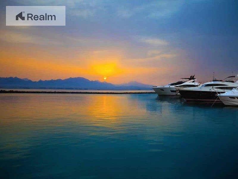 5 34efce86-7ce3-4448-a914-891b665caca2. jpg