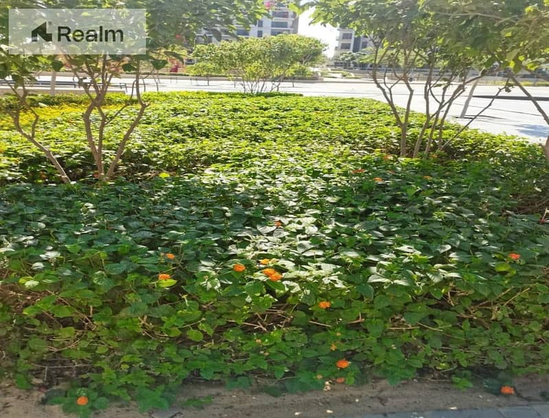 5 8e71167f-75c9-424d-95d2-3d97c187ac3f. jpg