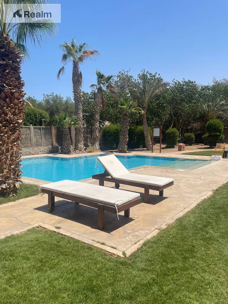 2 WhatsApp Image 2025-07-22 at 18.19. 08_6acda5cf. jpg