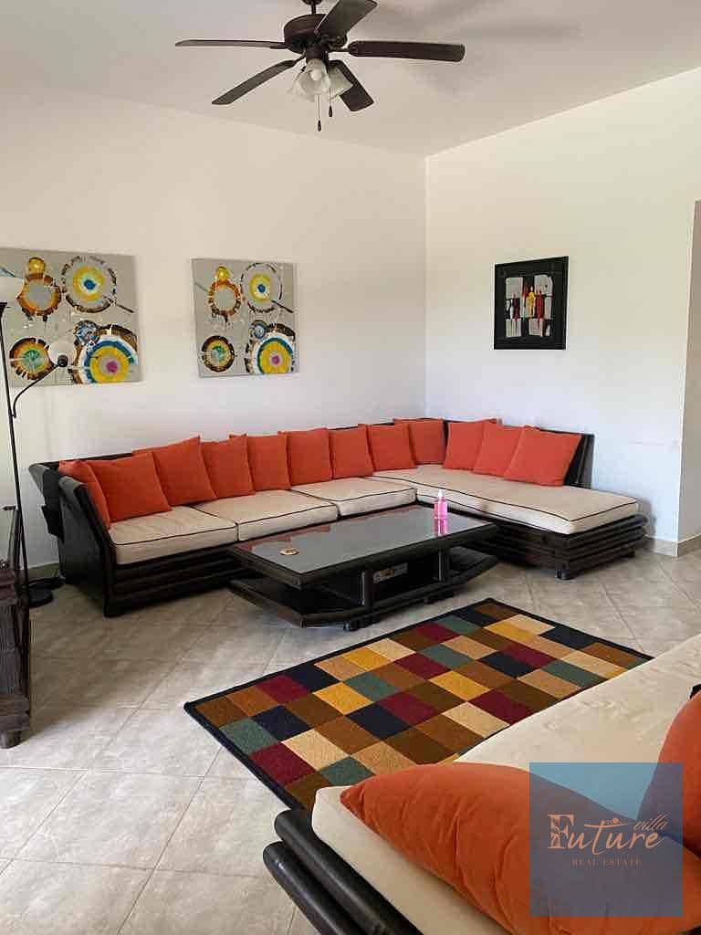 10 72373502-8c36-434e-803f-c0649b07a2d1. jpg