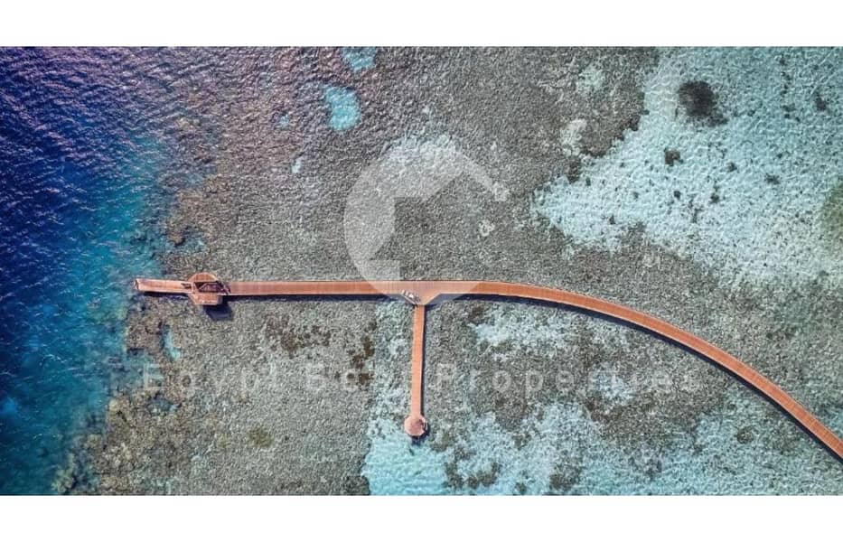 9 WhatsApp Image 2025-09-01 at 11.48. 17 AM (2). jpg