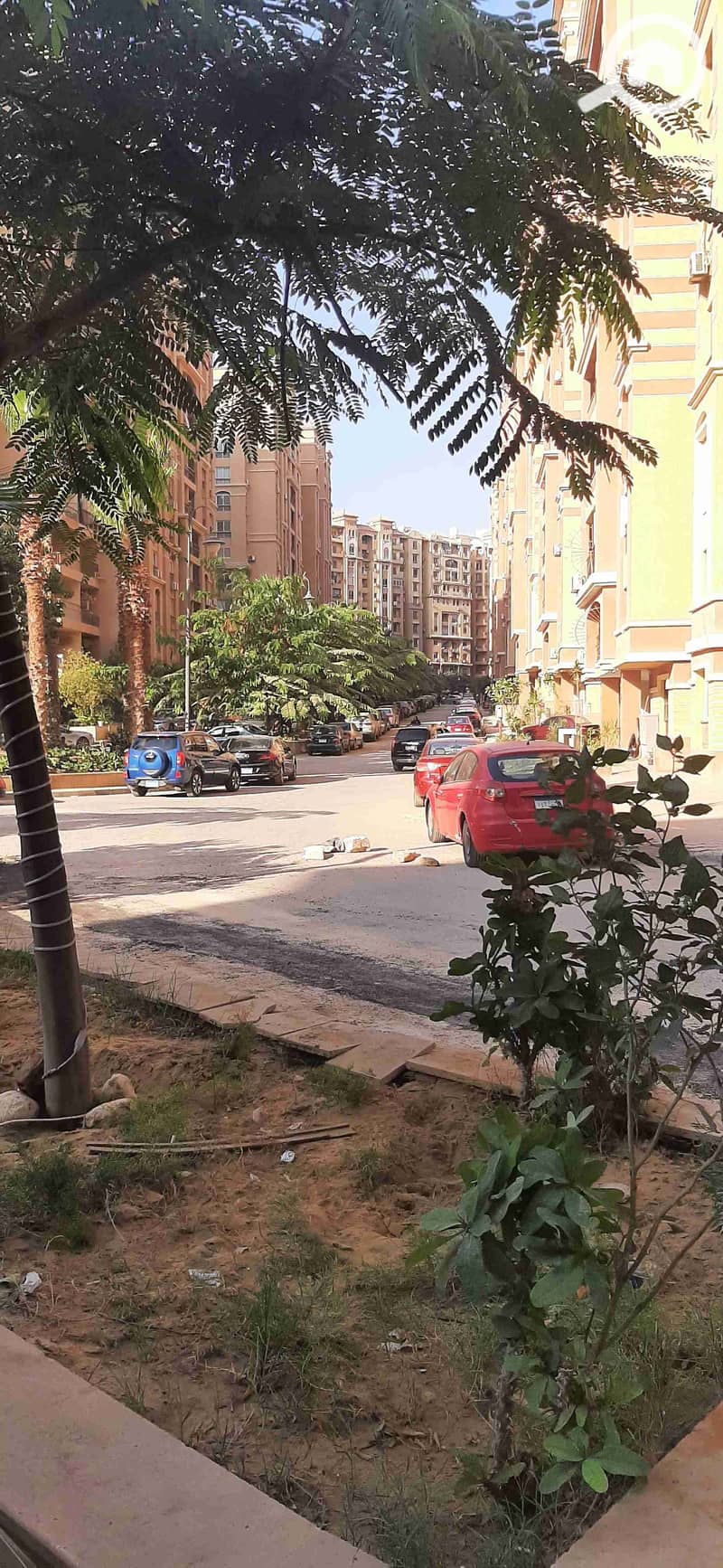 4 ٢٠٢٥١٠٢٨_١٦١٠٣٢. heic