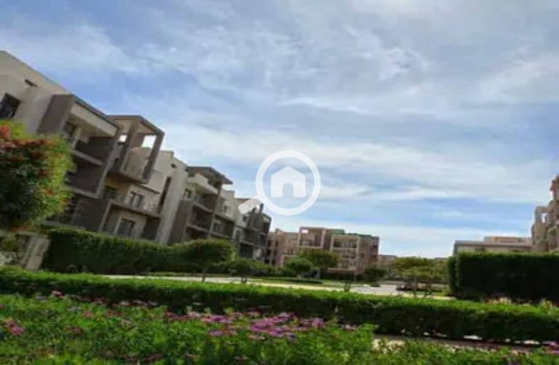 7 8169997-d3a47o. jpg