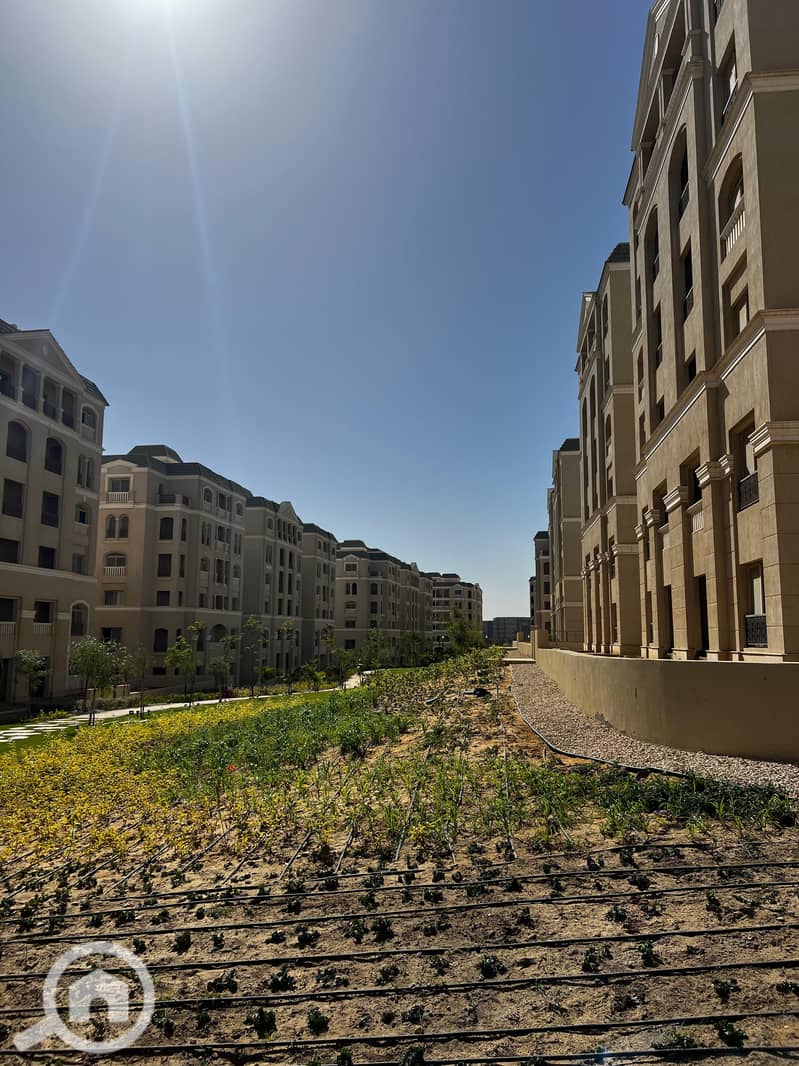 7 63e3b1f0-704e-4340-9eed-d5cec0c55d71. jpg