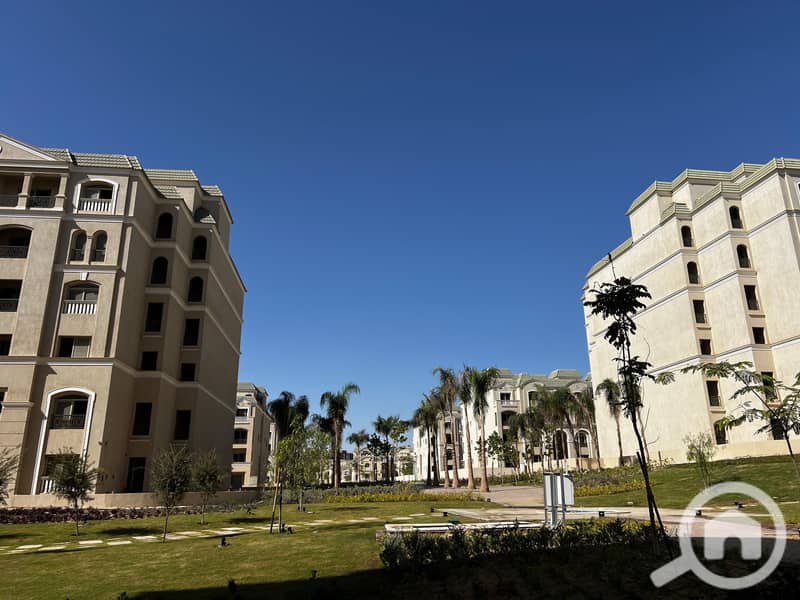 8 55cf54f5-9e0b-4188-a37f-b2e005f692d7. jpg