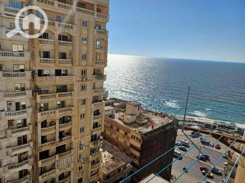 2 32f39ab8-9e9e-44b9-9ce5-e62502ce4512. jpg