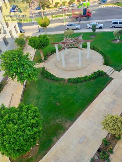 شقة 3 غرف نوم للايجار في القاهرة الجديدة، القاهرة - WhatsApp Image 2025-10-26 at 9.09. 37 AM. jpeg شقة 3 غرف نوم للايجار في القاهرة الجديدة، القاهرة - WhatsApp Image 2025-10-26 at 9.09. 37 AM. jpeg