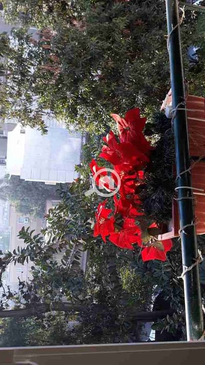 شقة فندقية 2 غرفة نوم للايجار في المعادي، القاهرة - 1000260360. jpg