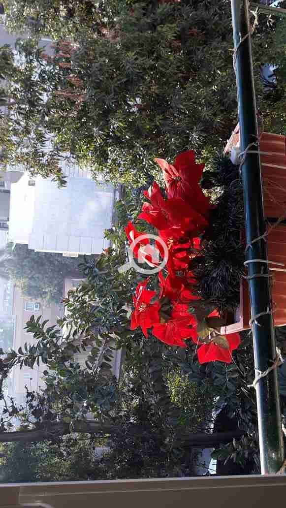 1000260360. jpg 1000260360. jpg