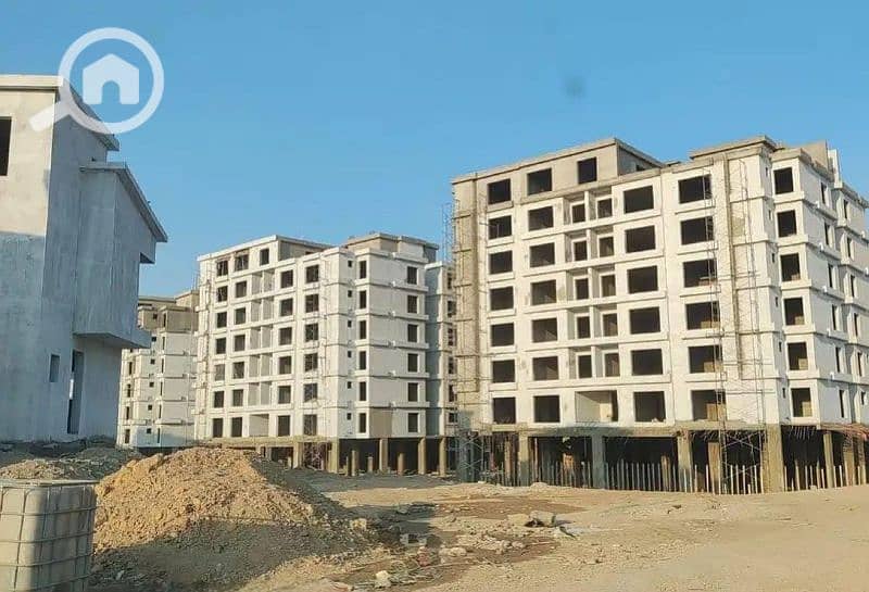 4 7953598-8a3c3o. jpg