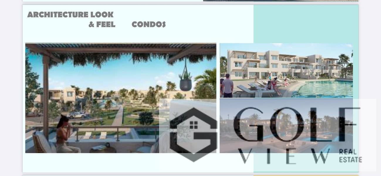 6 c36b89ca-615c-4d1e-92a2-8313ddb346f5. jpeg