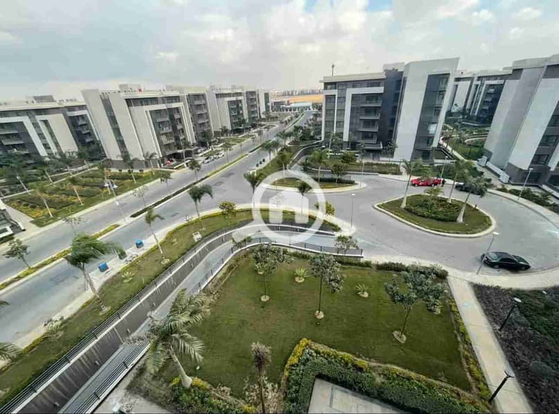 1001570542. jpg 1001570542. jpg