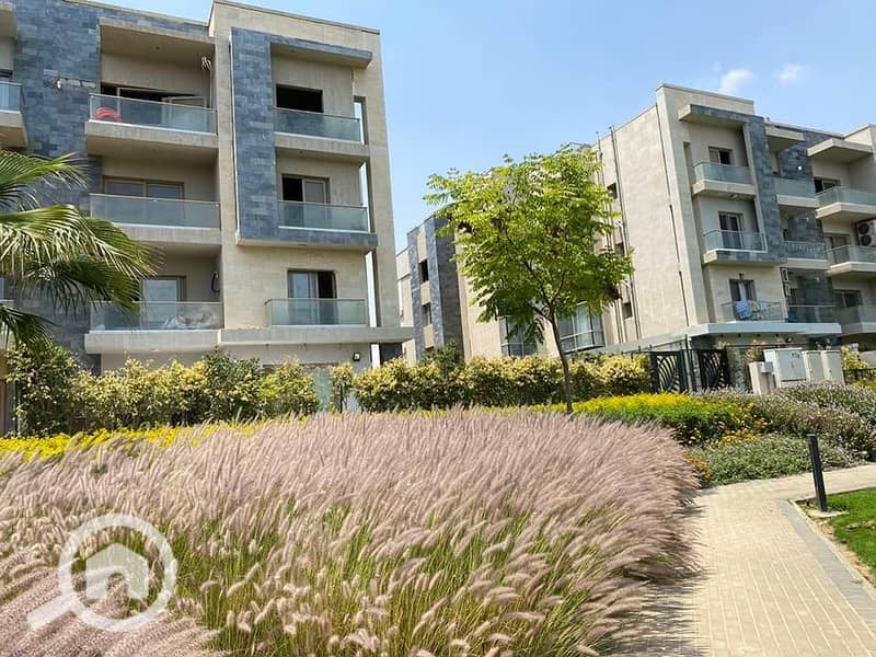 5 2b6153e0-fe27-4b7e-bbd0-82ae92ef83d3. jpg