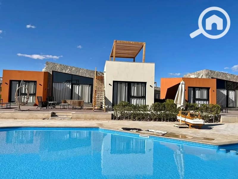 6 470350911_957397919575445_594782662226281249_n. jpg