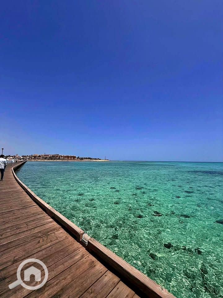 8 498312501_528239010223489_8210975053435518347_n. jpg