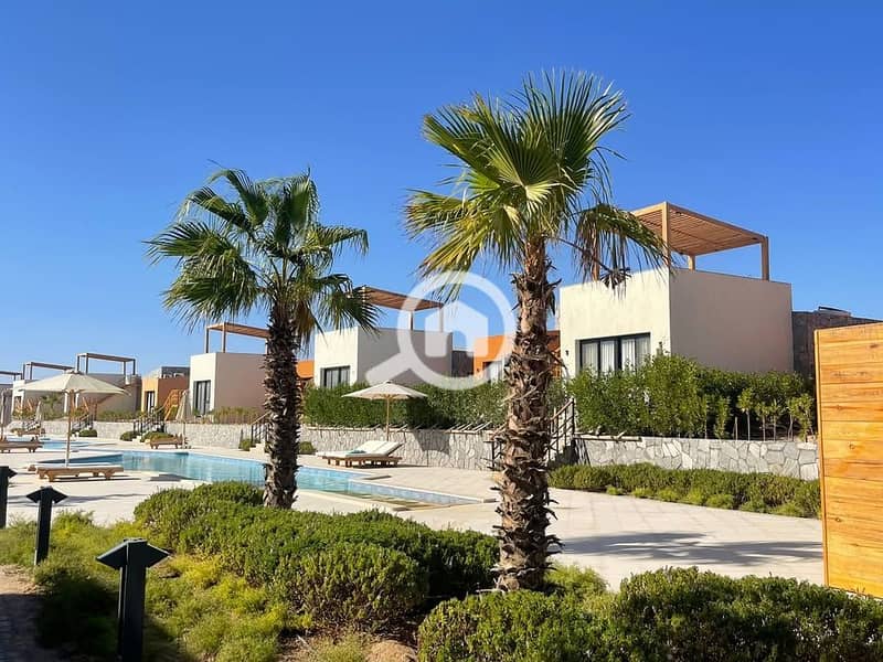 10 473009429_3554600331504111_4260272654400405789_n. jpg