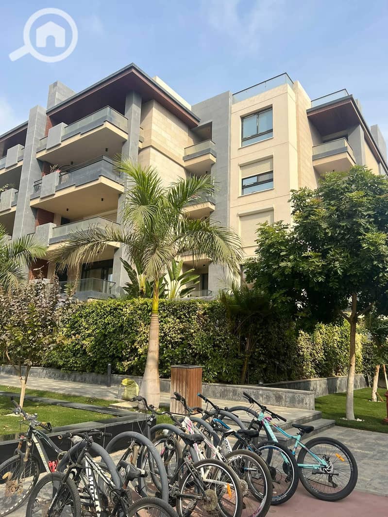 7 470465573_1624151991806459_5557807928521609494_n. jpg