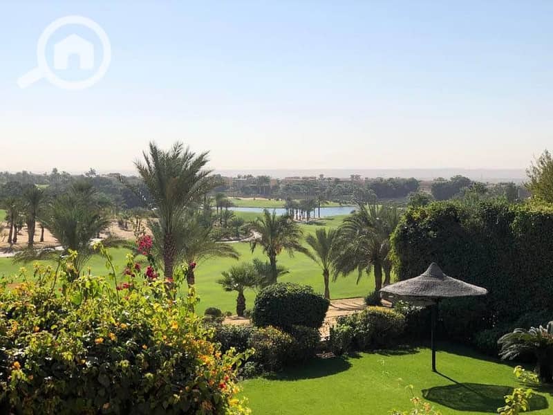 7 462887125_1202101014205775_1373235713543694622_n. jpg