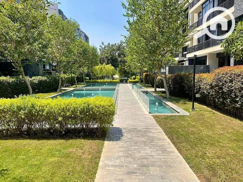 11 424879790_294921626928811_4589931739054570156_n. jpg