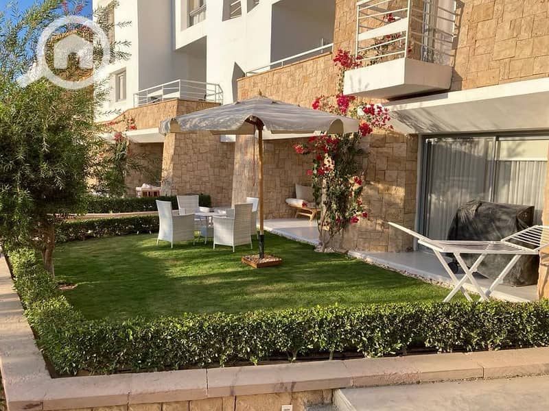 556609082_24461645003464819_8685018121139742653_n. jpg 556609082_24461645003464819_8685018121139742653_n. jpg