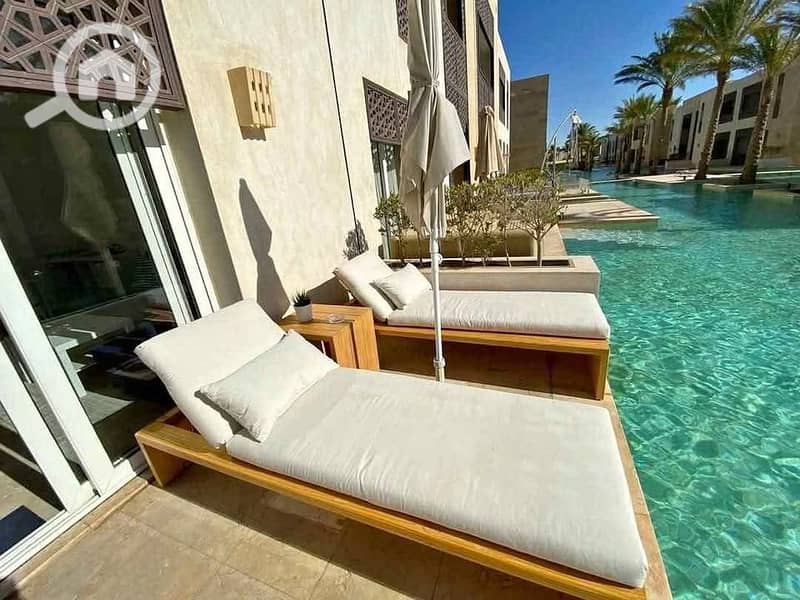 5 480497660_876156047854856_1085221111428326088_n. jpg