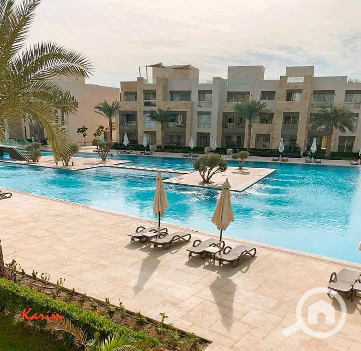 10 472997322_122143084286373532_6568787322066151496_n. jpg