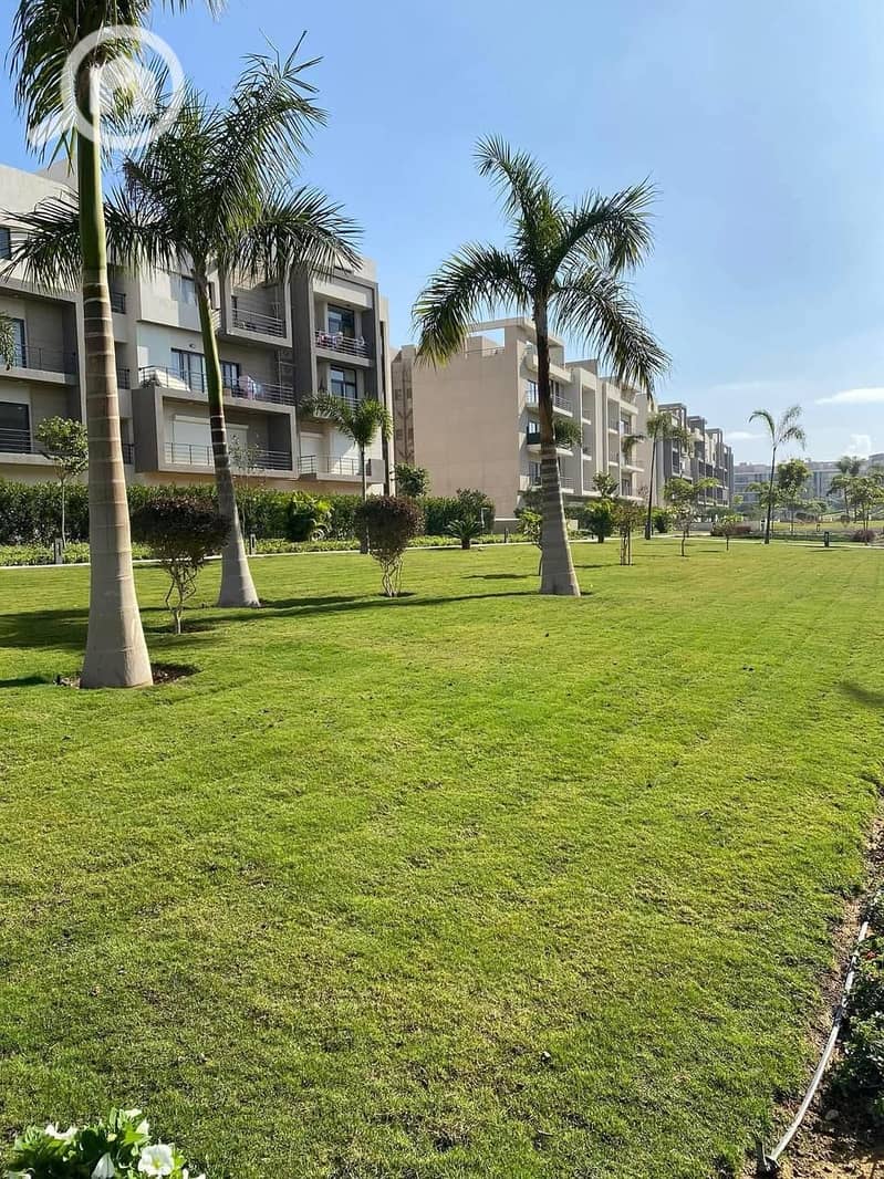 5 7faf1506-3655-4f76-a9f2-d735ec3aa635. jpg