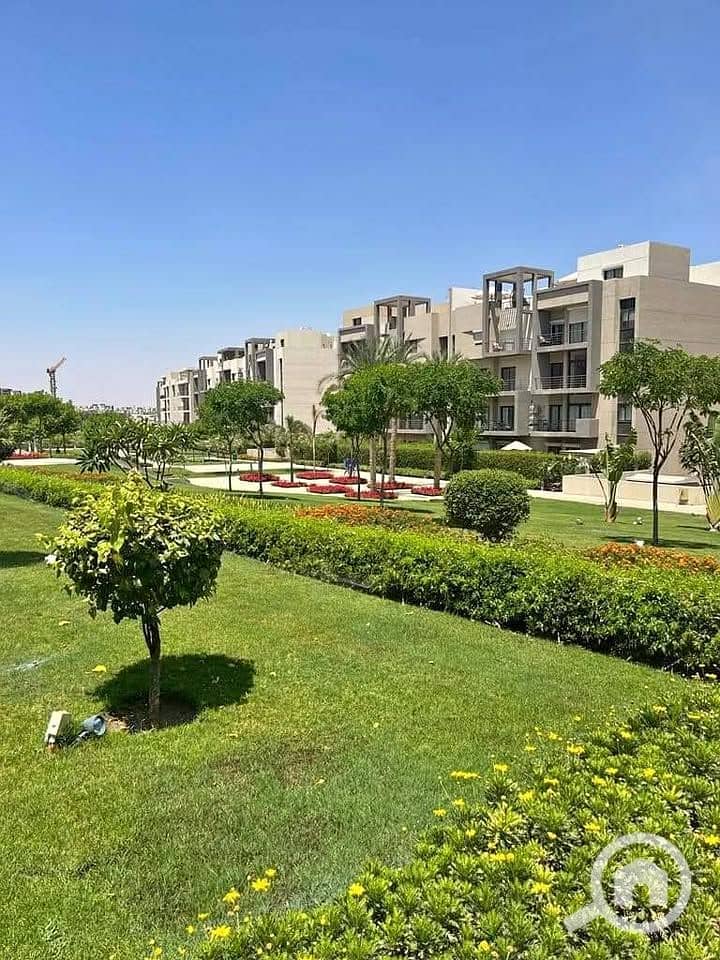 6 474079672_122242222430010800_5166224986792233346_n. jpg