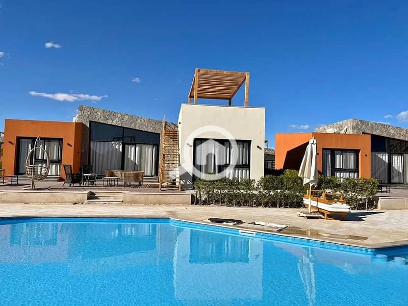 6 470350911_957397919575445_594782662226281249_n. jpg