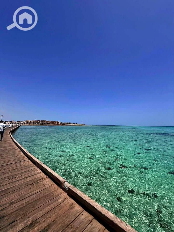 8 498312501_528239010223489_8210975053435518347_n. jpg