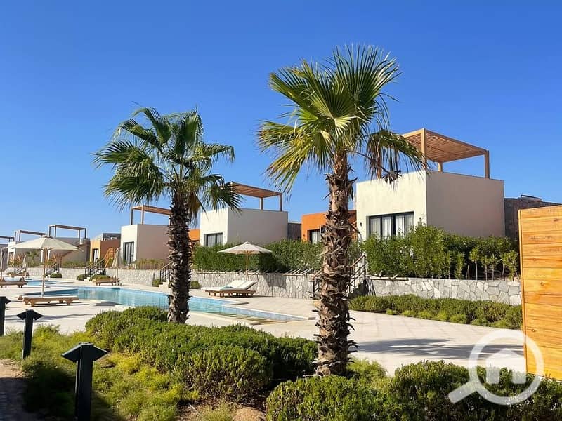 10 473009429_3554600331504111_4260272654400405789_n. jpg