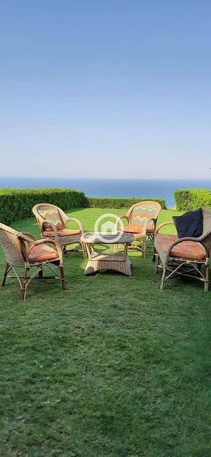 10 353638889_2357096491161559_8443419254933767335_n. jpg