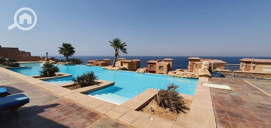 9 416040589_899281561610657_216761360007289149_n. jpg