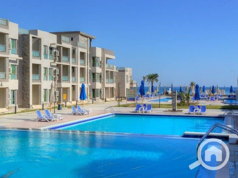 2 WhatsApp Image 2024-08-18 at 16.47. 54_3b115a3a. jpg