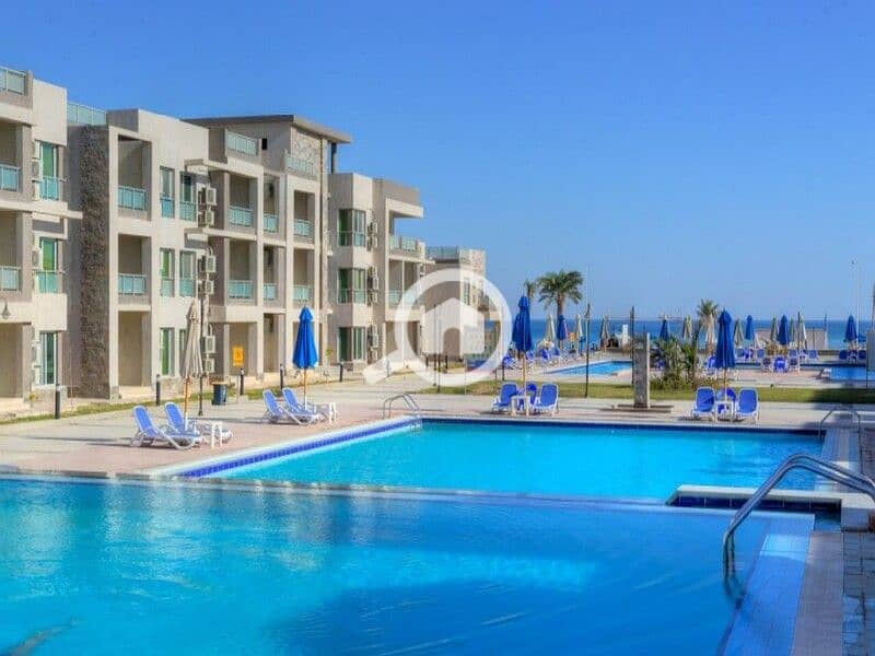 WhatsApp Image 2024-08-18 at 16.47. 54_3b115a3a. jpg WhatsApp Image 2024-08-18 at 16.47. 54_3b115a3a. jpg