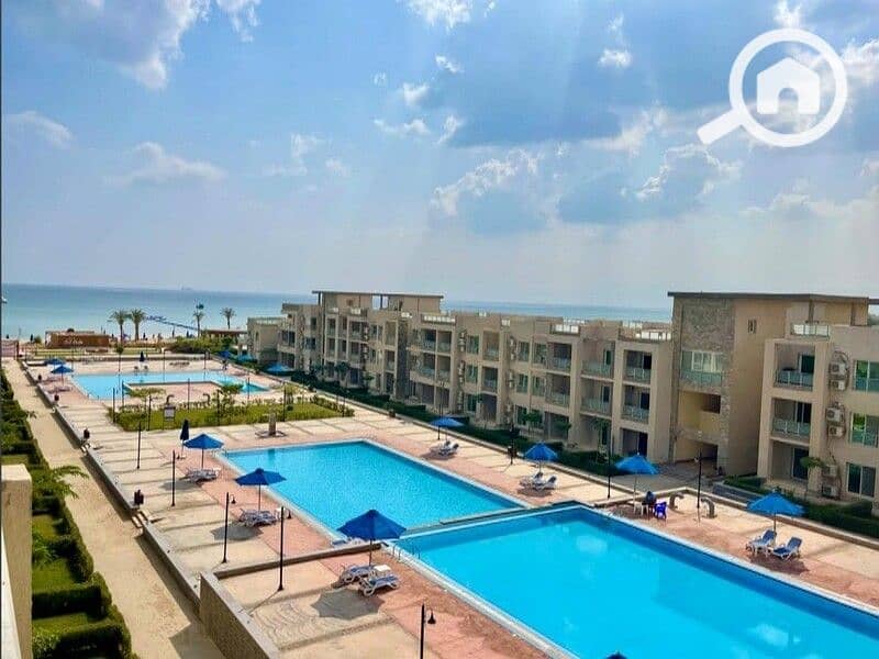 2 WhatsApp Image 2024-08-18 at 16.47. 50_19f6ddcf. jpg