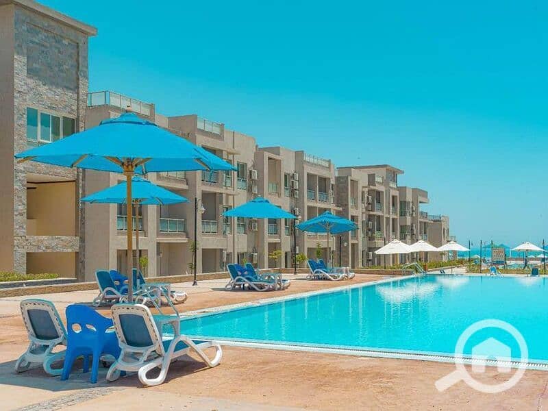 5 WhatsApp Image 2024-08-18 at 16.47. 52_767f9855. jpg