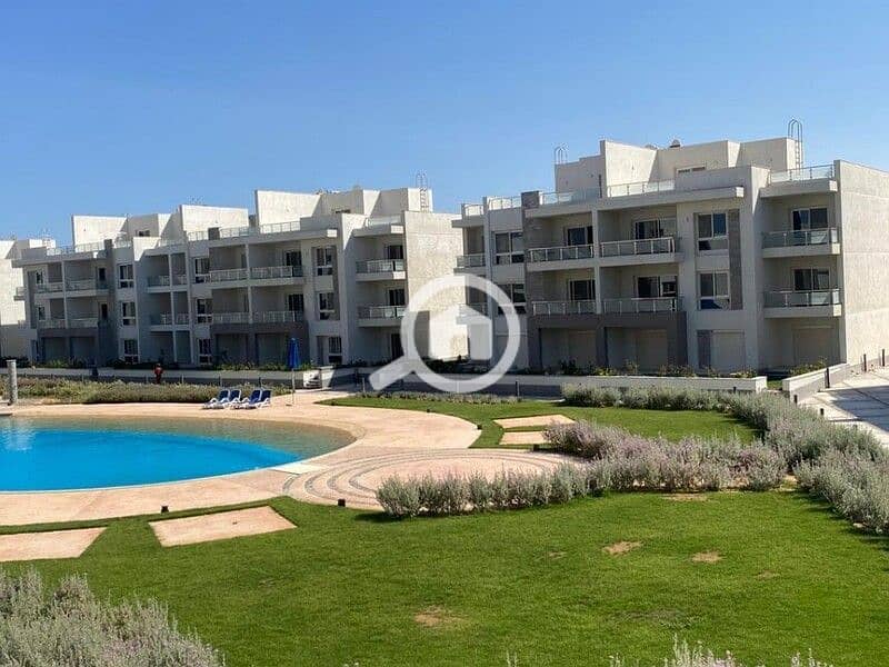 6 WhatsApp Image 2024-08-18 at 16.47. 56_6985f5dd. jpg