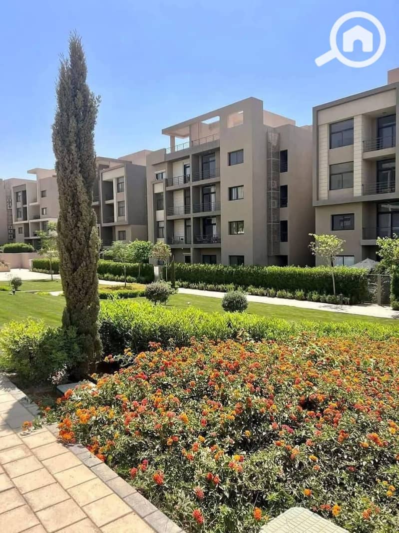 6 510401713_3889144881398270_2630771574417027983_n. jpg