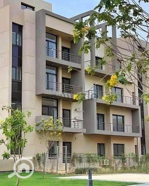 8 528462832_1968690390553906_6854347035128355330_n. jpg