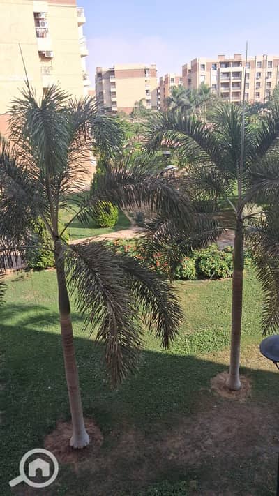 3 Bedroom Apartment for Rent in Madinaty, Cairo - WhatsApp Image 2025-10-29 at 5.20. 34 PM (15). jpeg