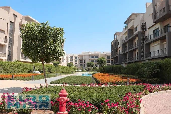 9 ldsifjskdjfsdf65465. jpg