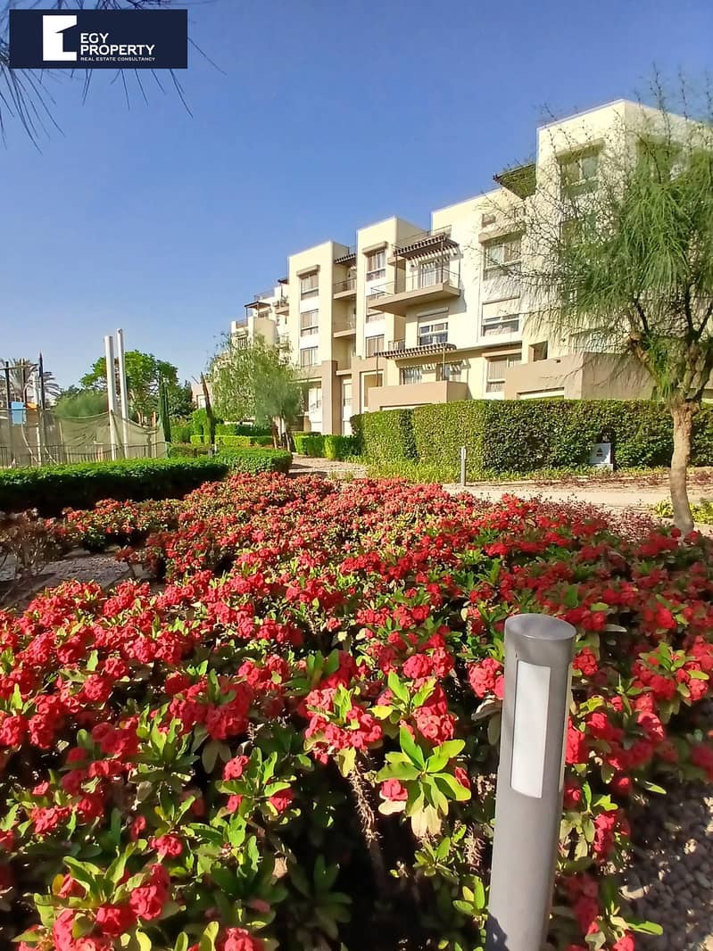 8 WhatsApp Image 2025-09-15 at 3.40. 51 AM (2). jpeg