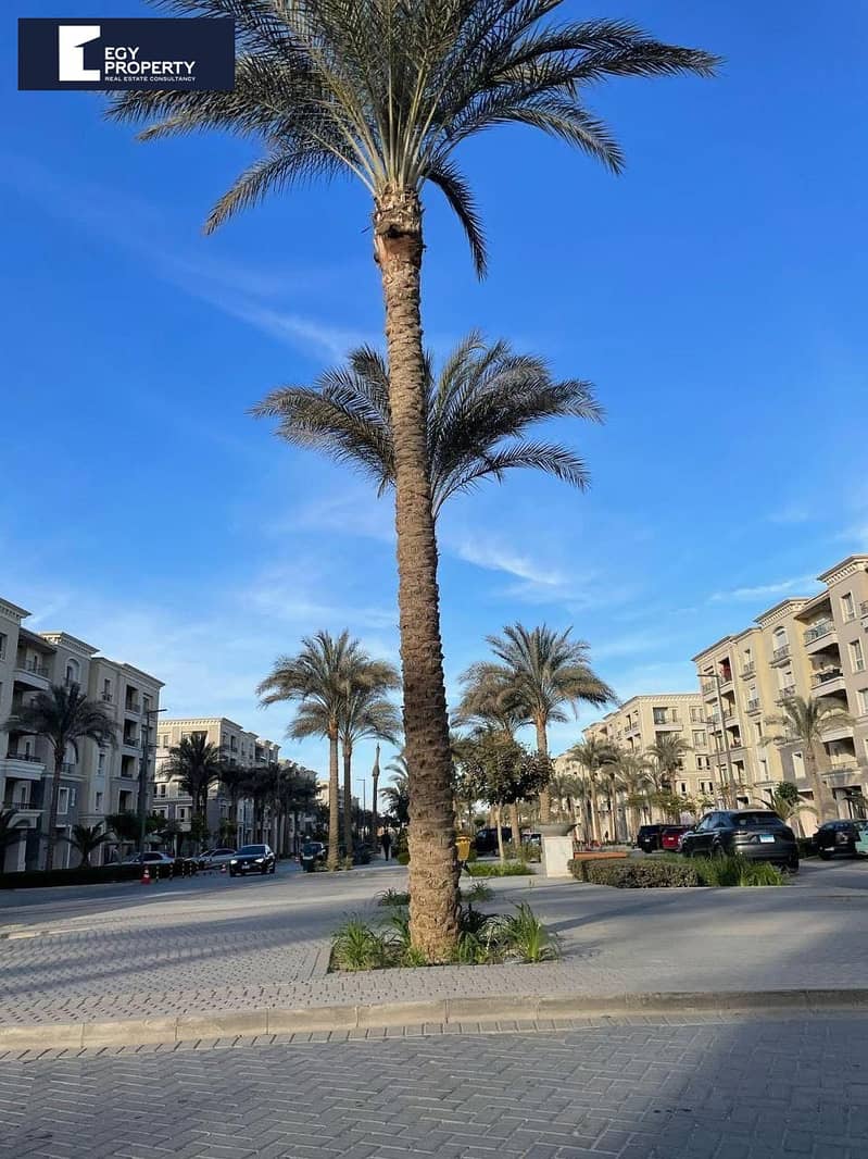 6 WhatsApp Image 2025-10-08 at 9.46. 18 AM (13). jpeg