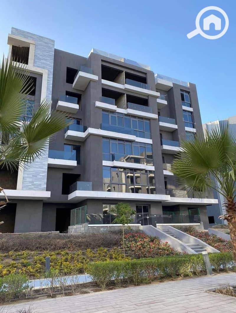 12 453874773_1529134757974850_1951197054845649856_n. jpg