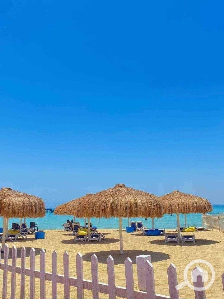 8 484286828_1700529714009262_5233786222014625013_n. jpg